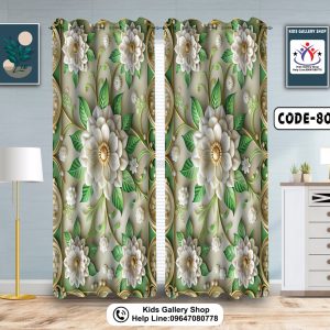 ২ পিছ 3D পর্দা